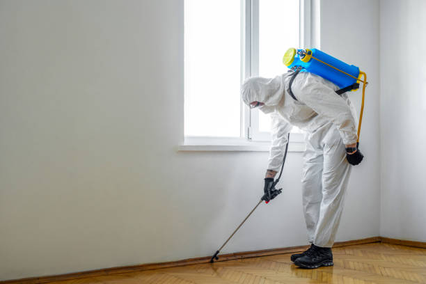 Real Estate Pest Inspections